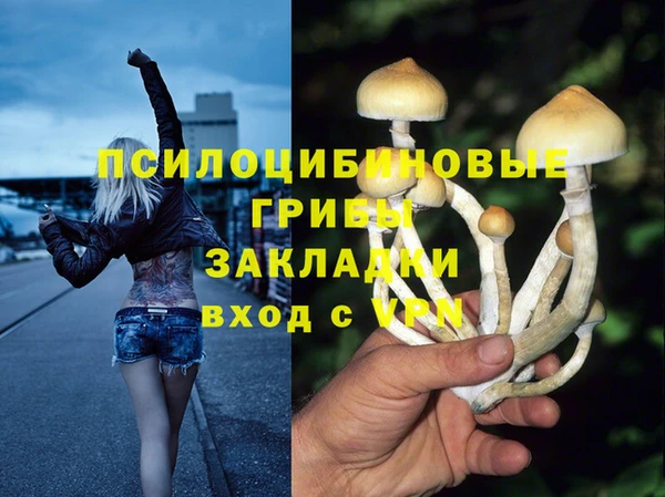крисы Алексин