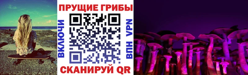 даркнет клад  Пласт  Псилоцибиновые грибы MAGIC MUSHROOMS 